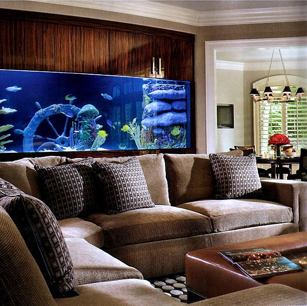 Home Aquarium Designs3