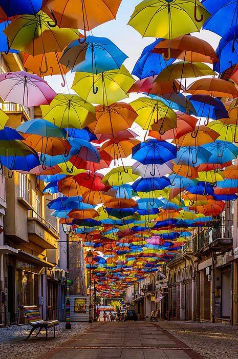 umbrella street6