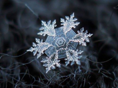 close-up shots of snowflakes
