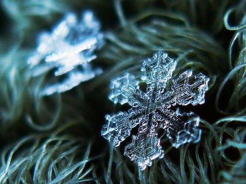 close-up shots of snowflakes2