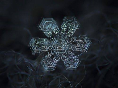 close-up shots of snowflakes4