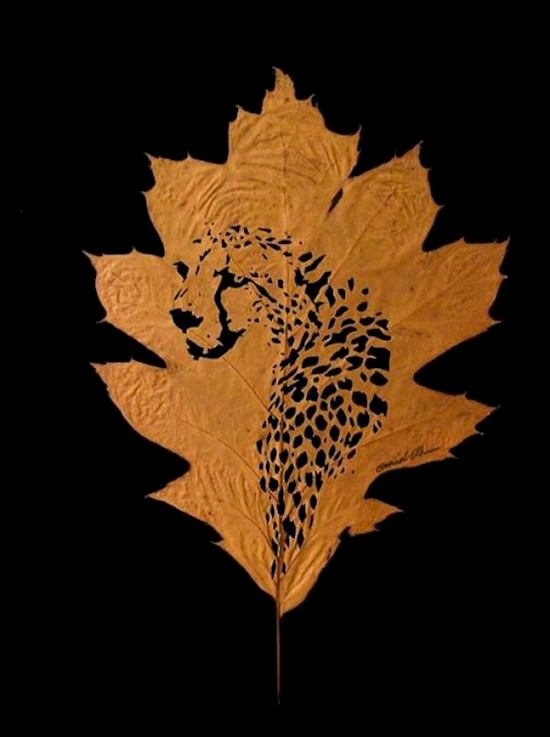 This Artist Uses Fallen Leaves To Create Incredible Art3